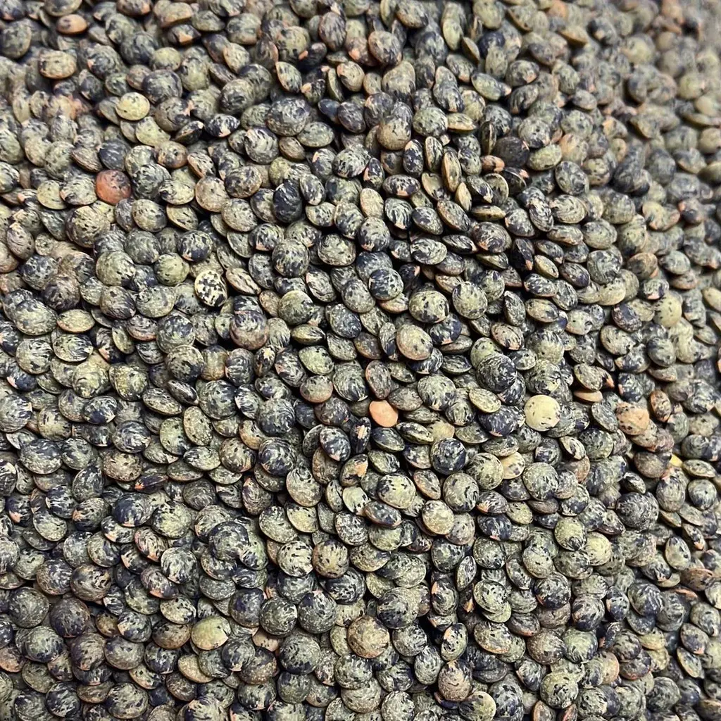 French Green Lentils